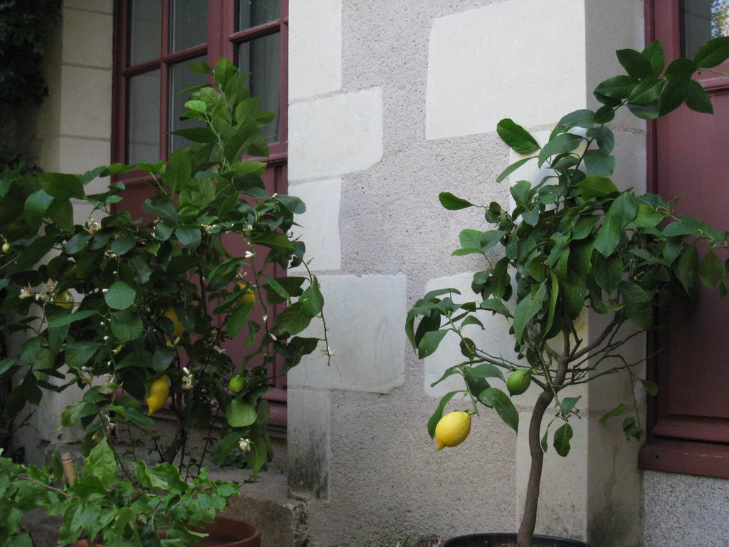Le Logis Des Tourelles Acomodação com café da manhã Beaupréau Exterior foto
